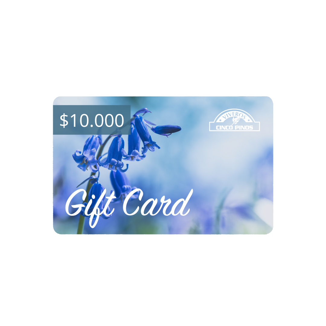 Gift Card de Cincopinos.cl